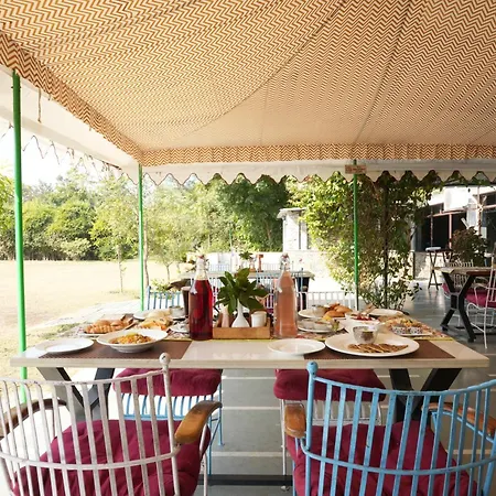 Astroport Sariska Treetop By Eight Continents-2