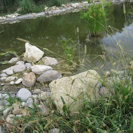 Bastide Des Martelieres-3