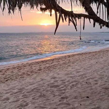 Coconut Tree Hill Rekawa-3
