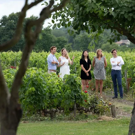 Château Le Pape B&B-3