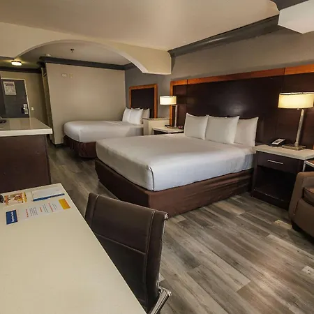 Comfort Inn & Suites Near Universal - N Hollywood - Burbank-3
