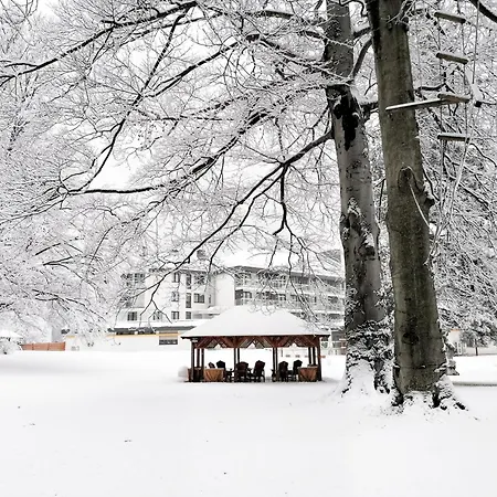Parkhotel Hirschwang-3