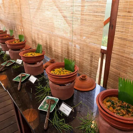 Siddhalepa Ayurveda Resort - All Meals, Ayurveda Treatment And Yoga-2