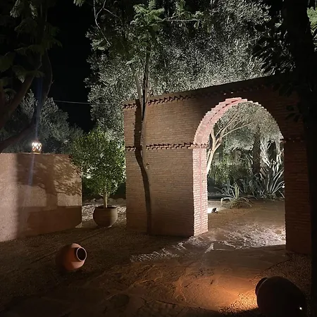 Manzil La Tortue-3