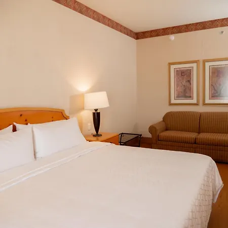 Holiday Inn Express Silao-Aeropuerto Bajio, an IHG Hotel-3