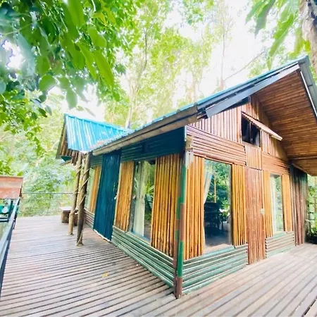 Khao Sok Tree House Resort-3