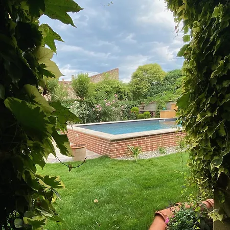 Le Rez de Jardin Albi-3