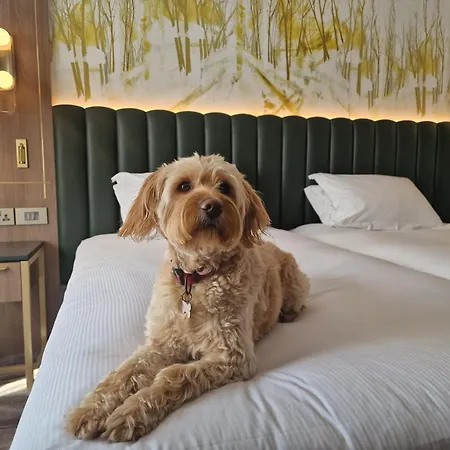 Hilton Dublin Kilmainham-3