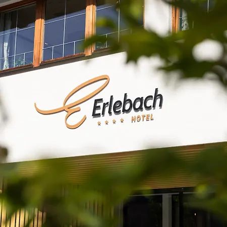 Auszeit - Hotel Erlebach-3
