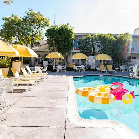 Wild Palms Hotel, a Joie de Vivre Hotel-3