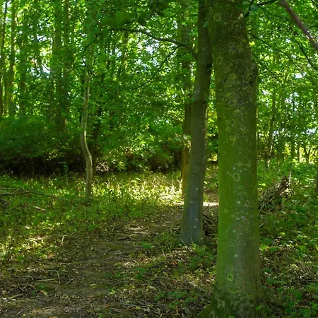 Wold Escapes, Highfield Farm-2