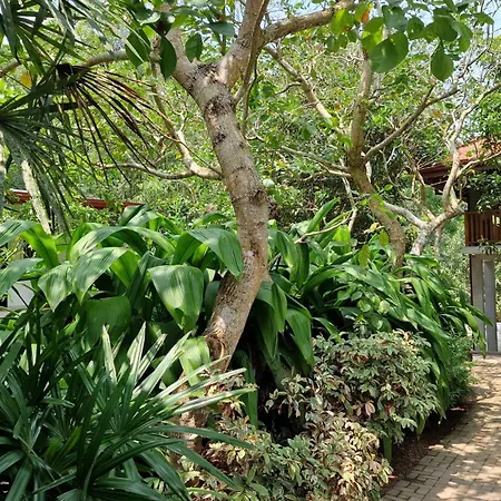 Villa Arana Bentota-3