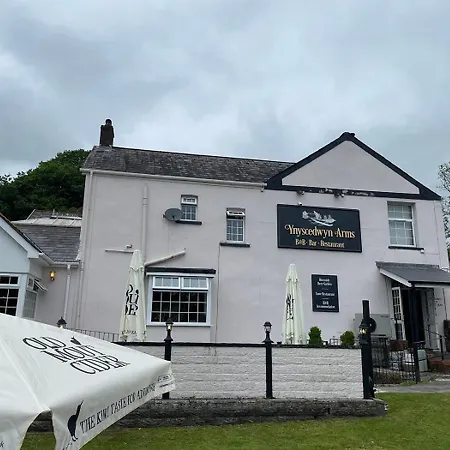 Ynyscedwyn Arms-2