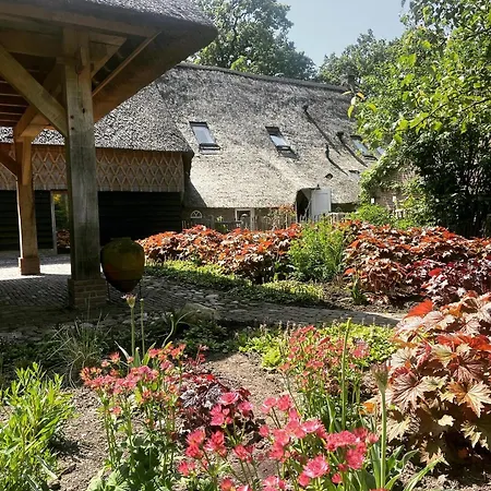 De Vijf Suites-2