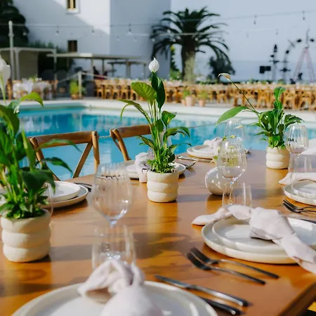 Brown Beach Chalkida Resort, A Member Of Brown Hotels-3