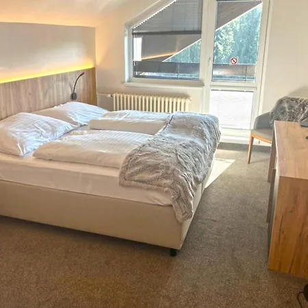 Wellness Hotel Svornost-3