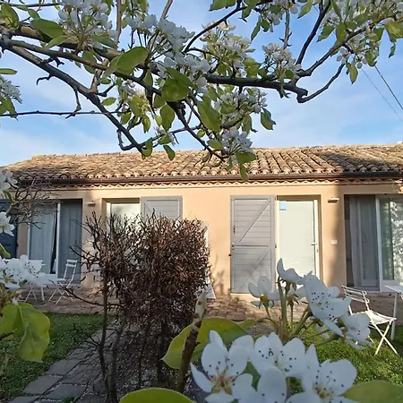 Tenuta del Viandante-2