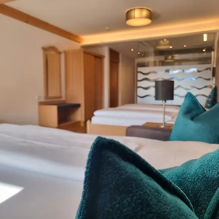 Hotel Alpina-2
