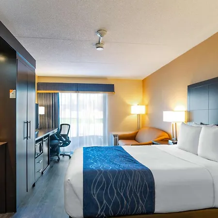 Comfort Inn St Thomas-3