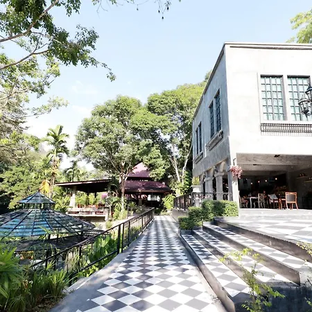 Capital O 464 At Nata Chiangmai Chic Jungle-2