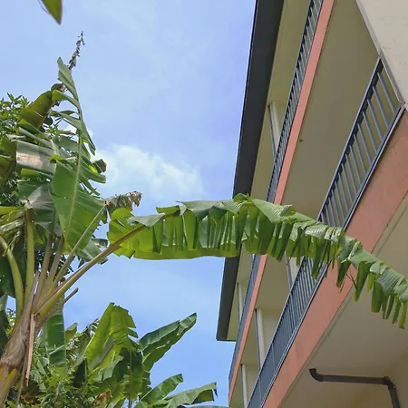 Garden Palace Downtown Koror-2