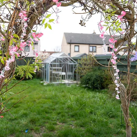 Cozy 3 Bedroom House Near Ari And City Centre, Ab16, Wifi, Parking, Netflix, Pet - Friendly-3