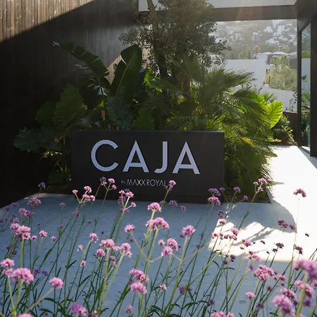 Caja By Maxx Royal-3