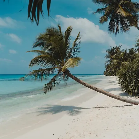 Muraka Dhigurah-2