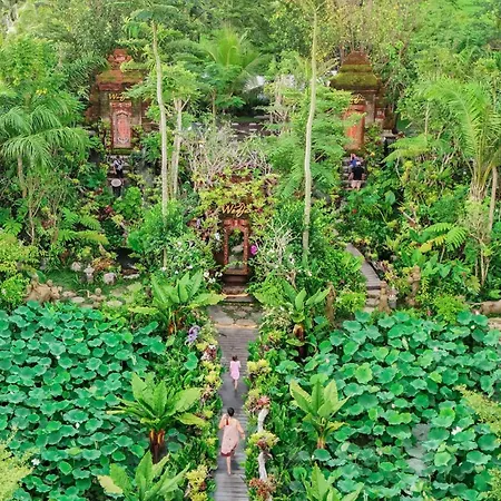Ubud Art Resort By Wedja-3