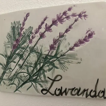Il giardino dei limoni-3