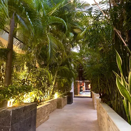 The City Condos By Menesse-2