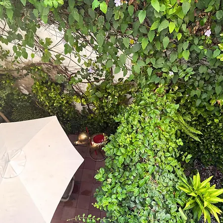 Casa Bugambilia x Ahead-2