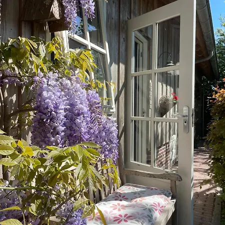 B&B De Pastorie bij Dokkum-2