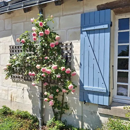 Le Mouton-2