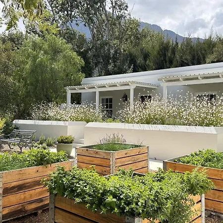 Lavender Farm Boutique Guest House-2