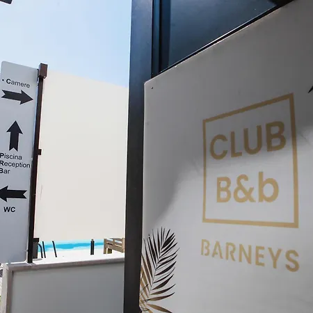 Barneys B&B-2