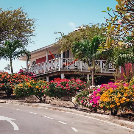 Chogogo Dive & Beach Resort Curacao-3