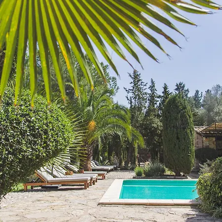 Agroturismo Son Foguero - Adults Only-3