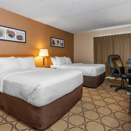 Comfort Inn Winnipeg South-3