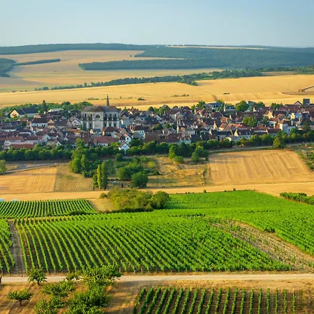 Domaine Borgnat-2