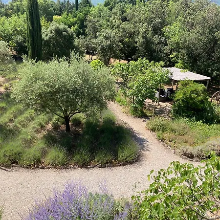 Le clos des lavandes-Luberon-3