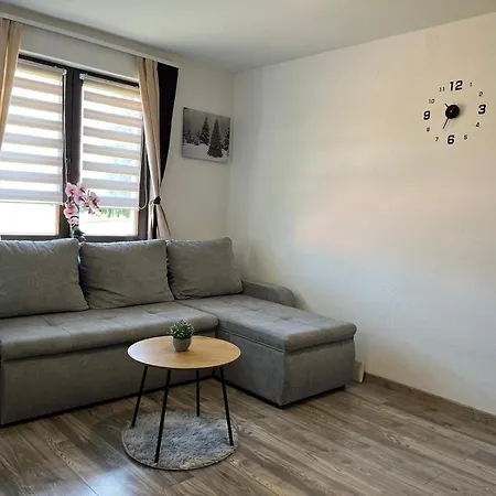 Studio Apartmani Patricia-3