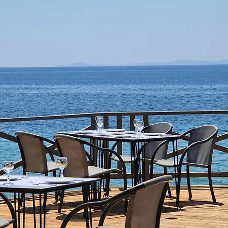 Blue Dolphin Hotel-2