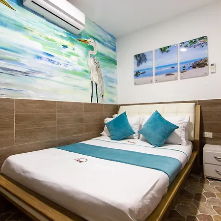 Minca Chunuu - Glamping - Coworking Minca-3