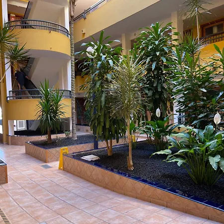 Apartamentos Colon2-3