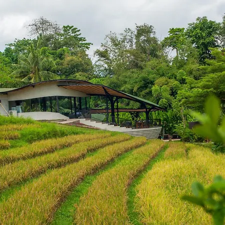 De Moksha Eco Friendly Boutique Resort-3