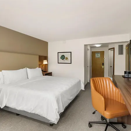 Holiday Inn San Jose La Sabana By Ihg-3