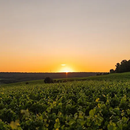 Loisium Wine & Spa Hotel Champagne-3