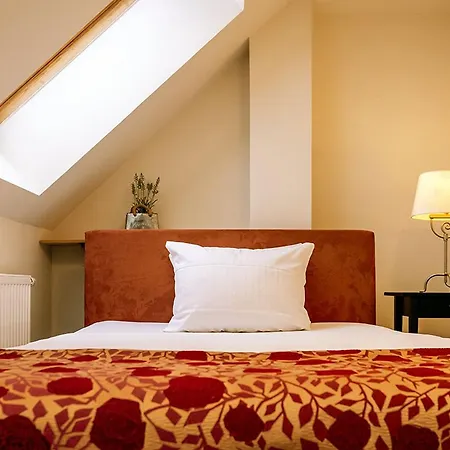 Apparthotel Bad Schandau By Steiger Hotels-2