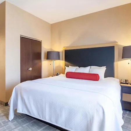 Cambria Hotel Pittsburgh - Downtown-3